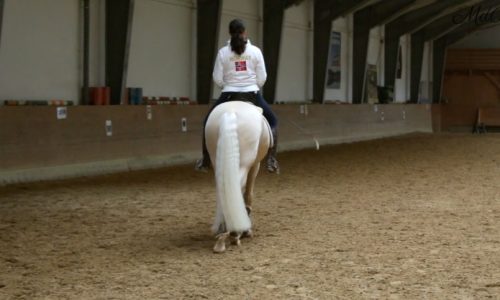 Schenkelweichen ohne Bande